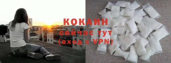 ПСИЛОЦИБИНОВЫЕ ГРИБЫ Алексин