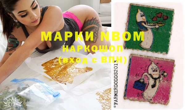 ПСИЛОЦИБИНОВЫЕ ГРИБЫ Алзамай