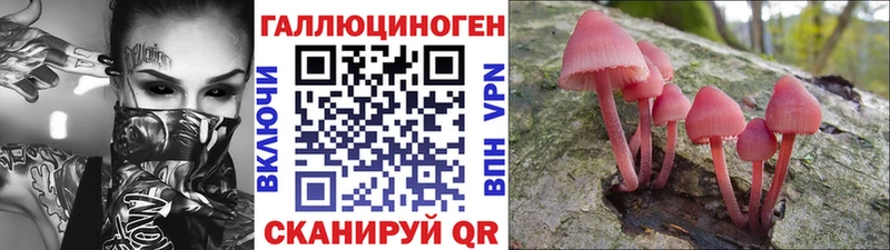 Галлюциногенные грибы прущие грибы  Ардатов 